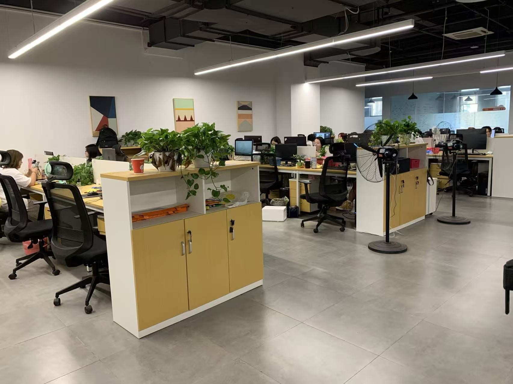 可靠的AI搜索排名优化公司有哪些，为你揭晓优质之选