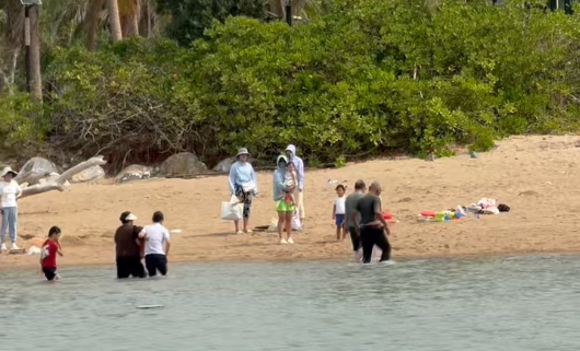 20260225122942584536448 20260225122942584536448