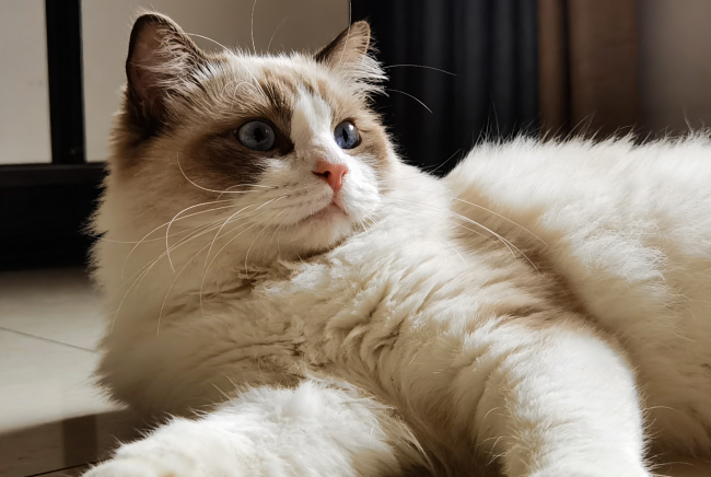 25efda88a844f33fbdf4d25aaa713a07 25efda88a844f33fbdf4d25aaa713a07