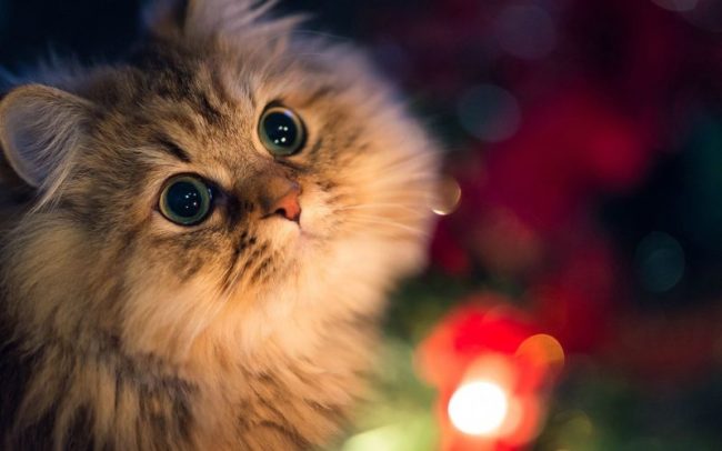 20260327151656-ca128 20260327151656-ca128